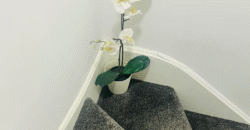 Double Room is available for Rent in a 3-bedroom House – Tentelow Lane, Southall, UB2 4LW