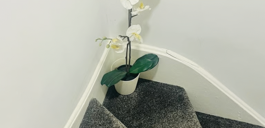 Double Room is available for Rent in a 3-bedroom House – Tentelow Lane, Southall, UB2 4LW